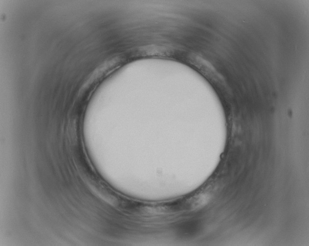 X0000060770250200512082041