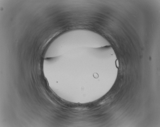 X0000060770251200512082041