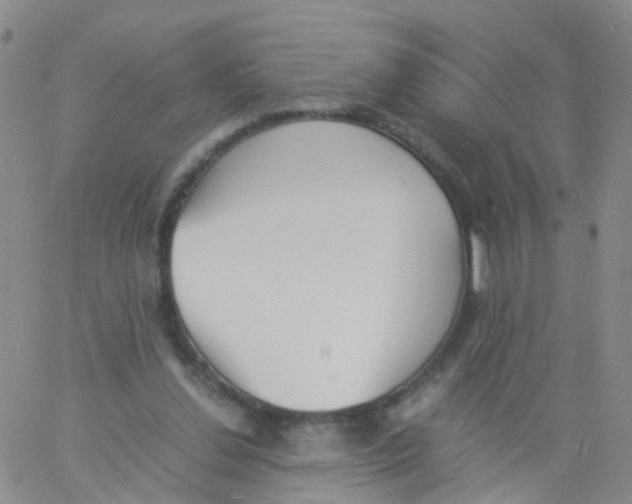 X0000060770252200512082041