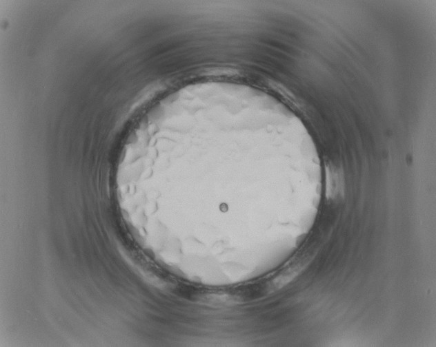 X0000060770253200512082041