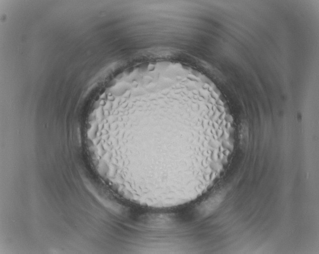 X0000060770254200512082041