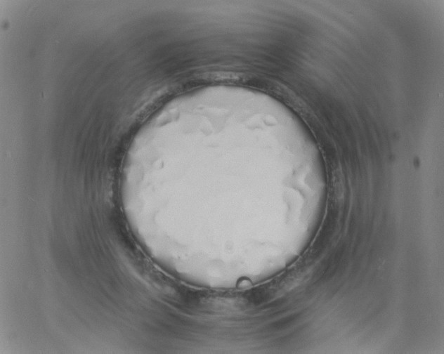 X0000060770255200512082041