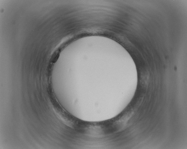 X0000060770256200512082041