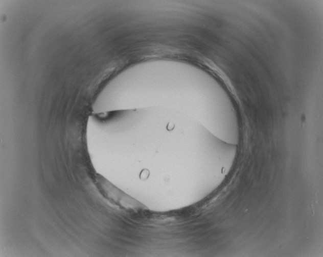 X0000060770257200512082041