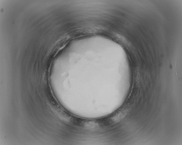 X0000060770258200512082041