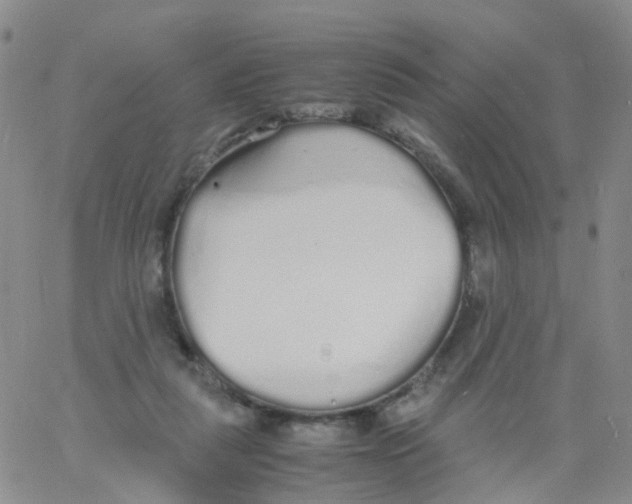 X0000060770259200512082041