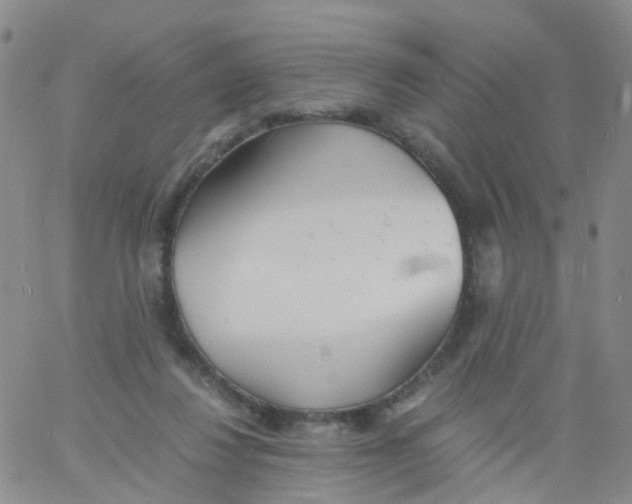 X0000060770260200512082041