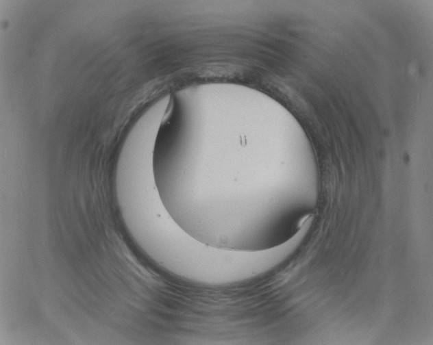 X0000060770261200512082041