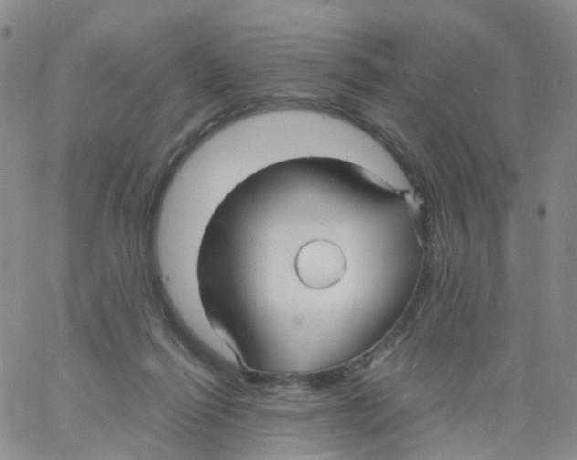 X0000060770262200512082041