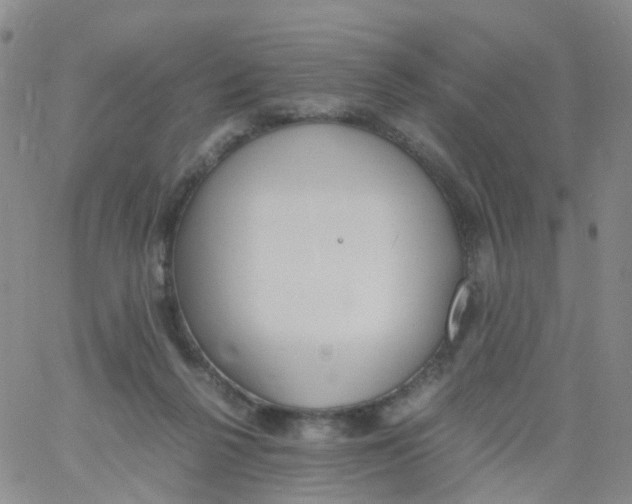 X0000060770264200512082041