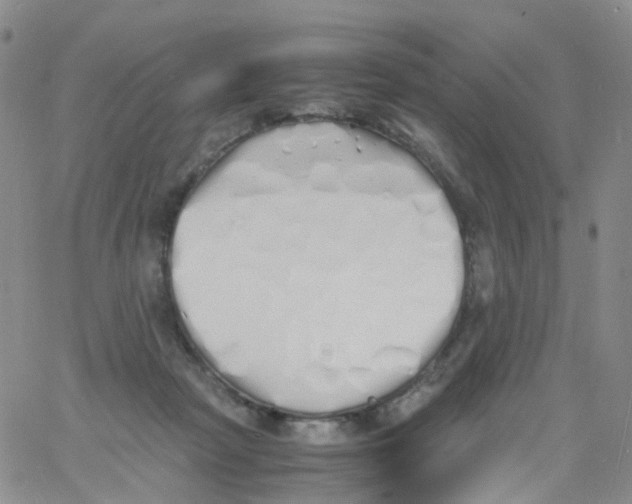 X0000060770265200512082041