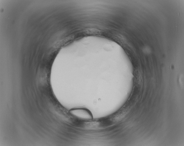 X0000060770266200512082041