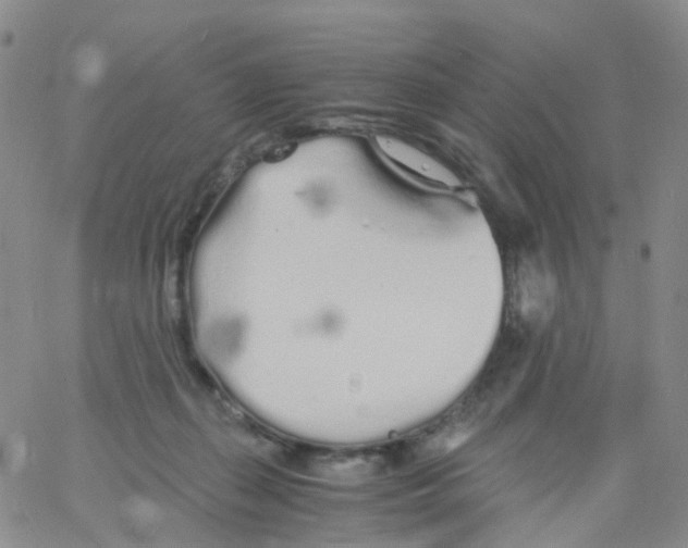 X0000060770267200512082041