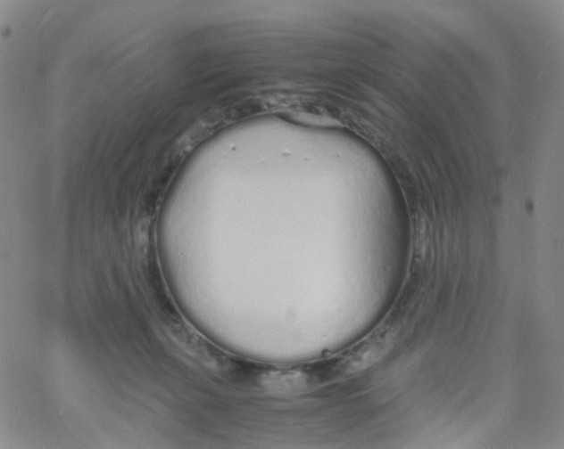 X0000060770271200512082041