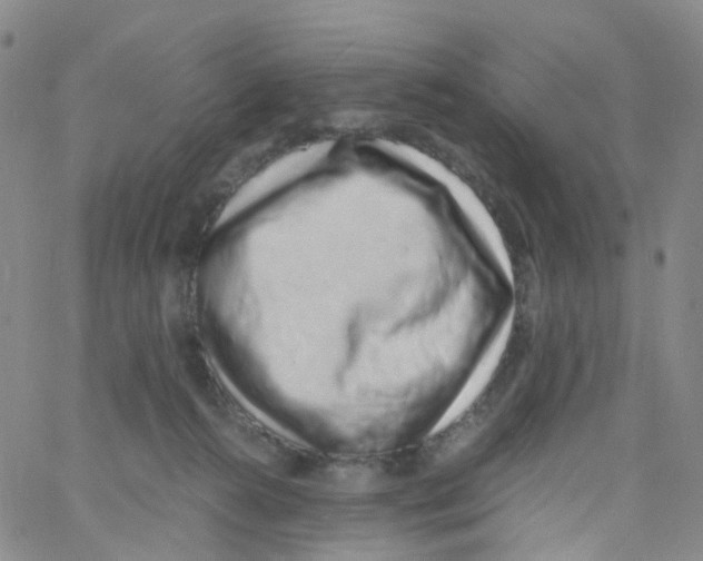 X0000060770272200512082041