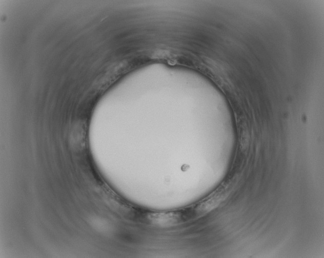 X0000060770273200512082041