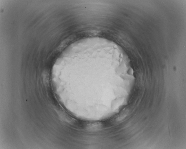 X0000060770274200512082041