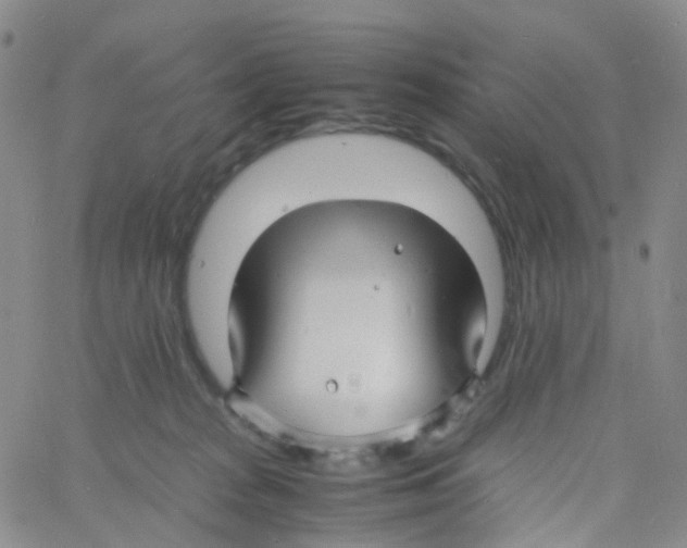 X0000060770277200512082041