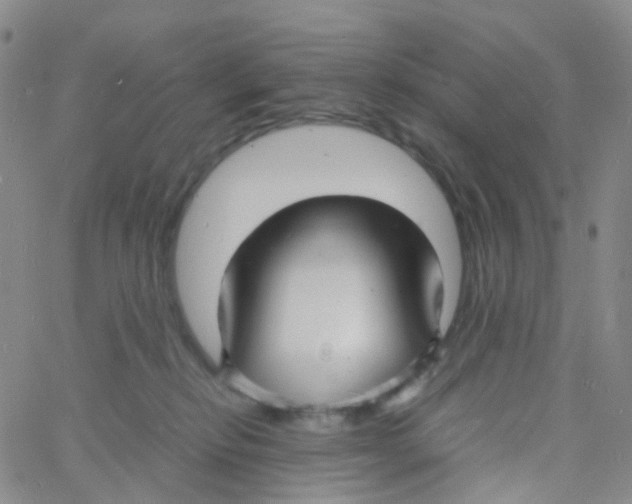 X0000060770278200512082041