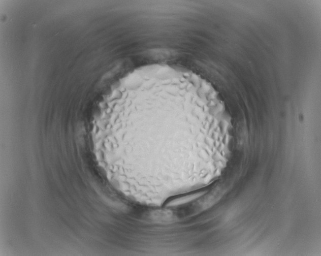 X0000060770279200512082041