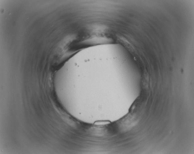 X0000060770280200512082041