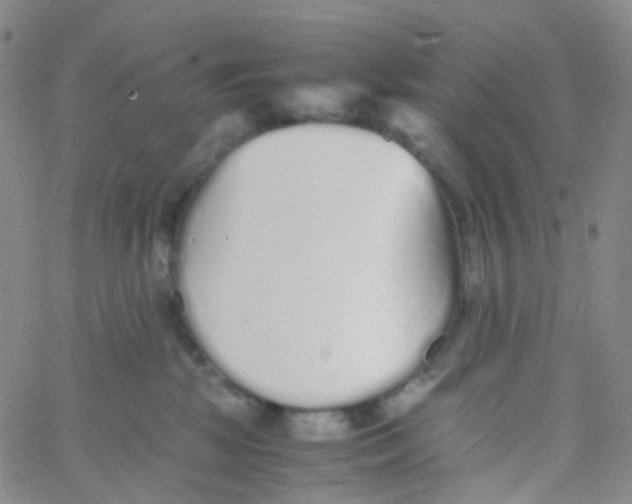 X0000060770281200512082041