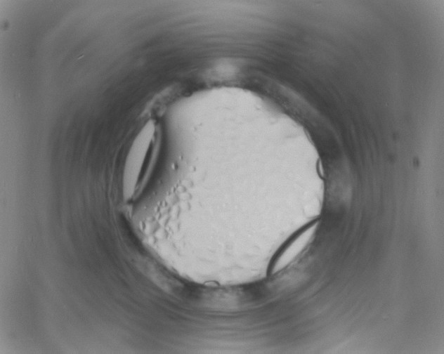 X0000060770282200512082041