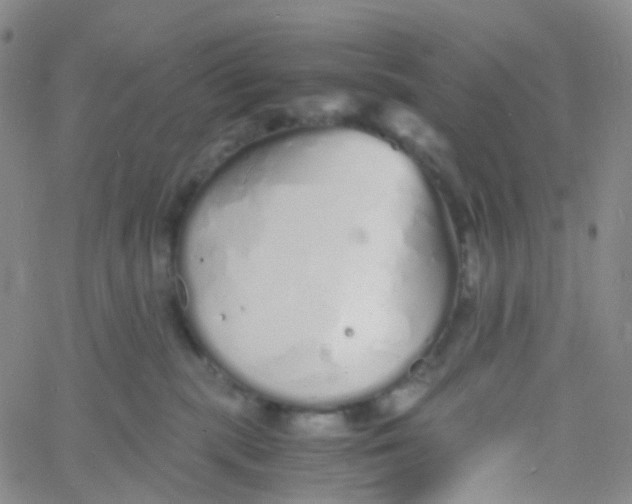 X0000060770283200512082041