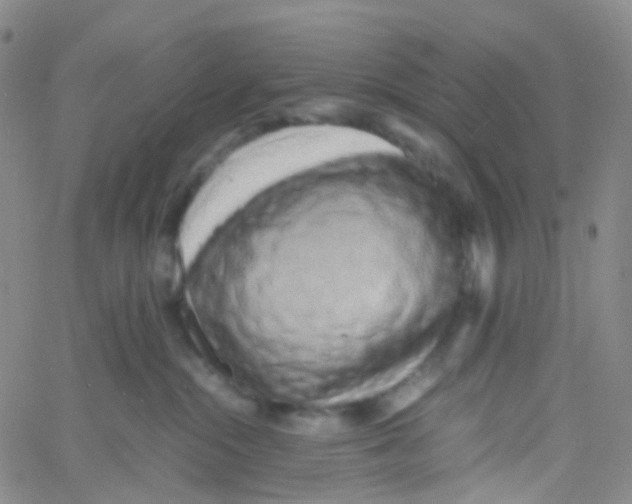 X0000060770284200512082041