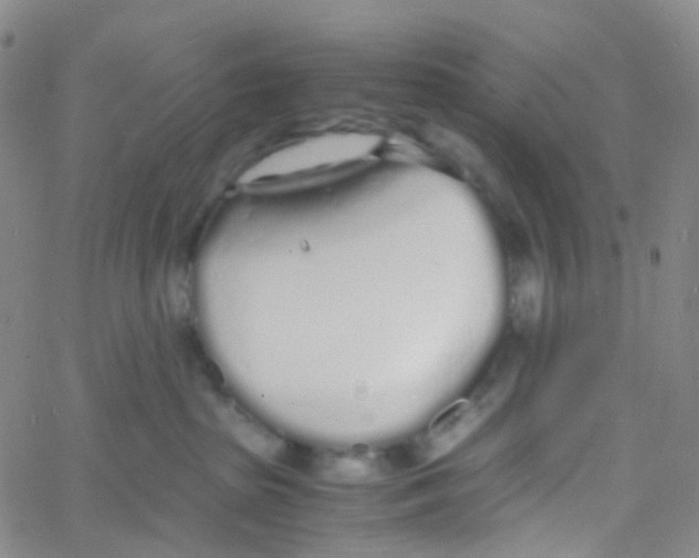 X0000060770285200512082041