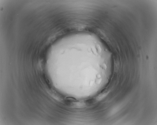 X0000060770286200512082041