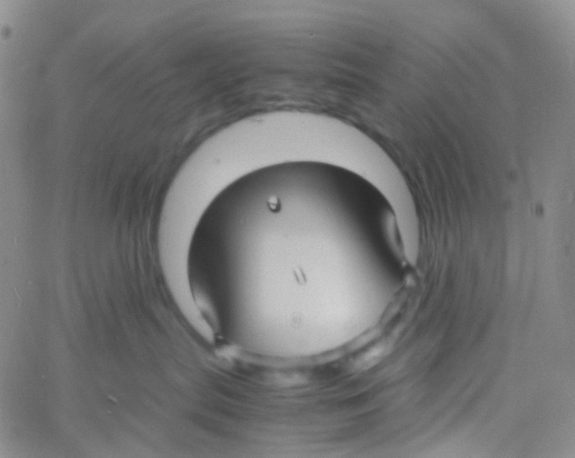 X0000060770287200512082041