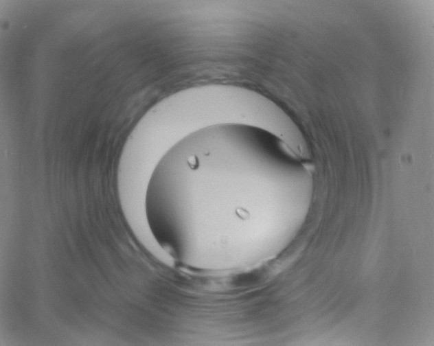 X0000060770288200512082041