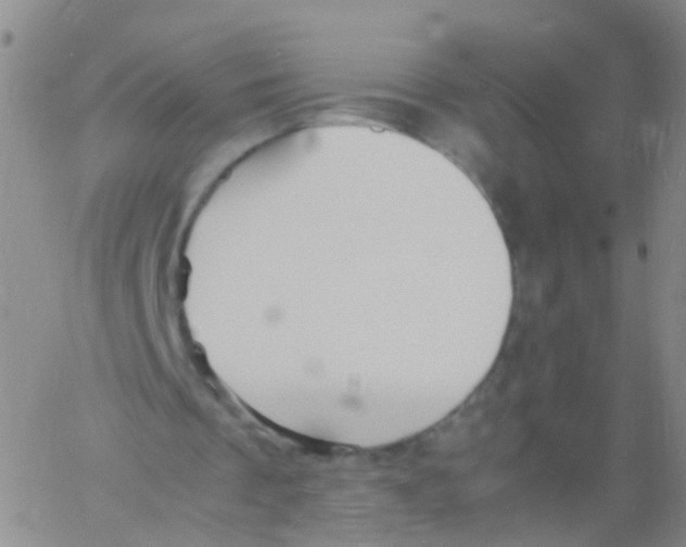 X0000060770289200512082040