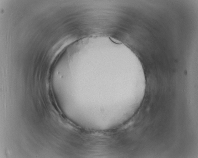 X0000060770290200512082040