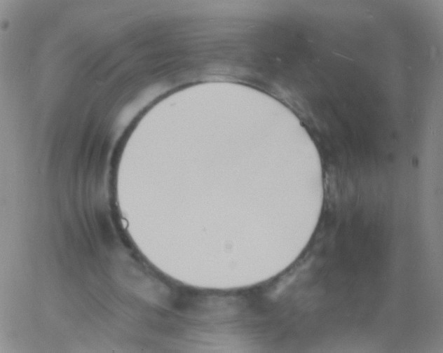 X0000060770292200512082040