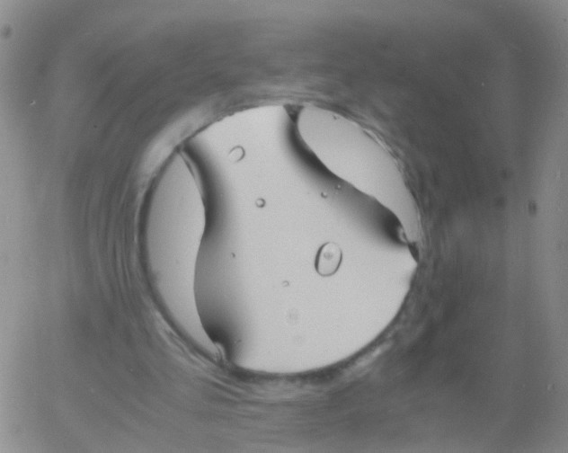 X0000060770293200512082040