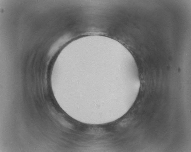 X0000060770296200512082040