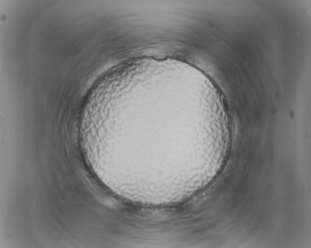 X0000060770297200512082040