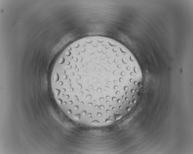 X0000060770298200512082040