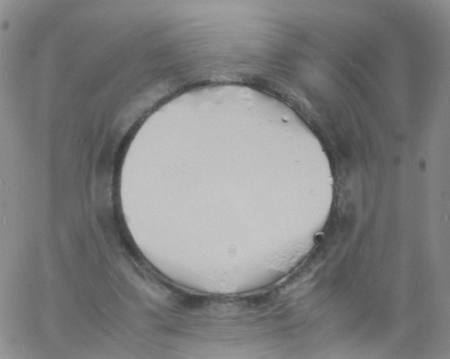 X0000060770299200512082040