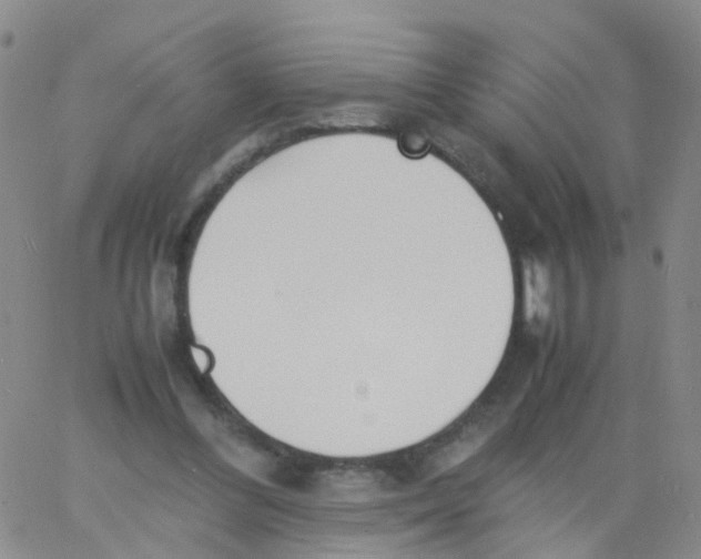 X0000060770300200512082040