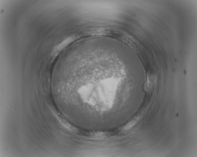 X0000060770301200512082040