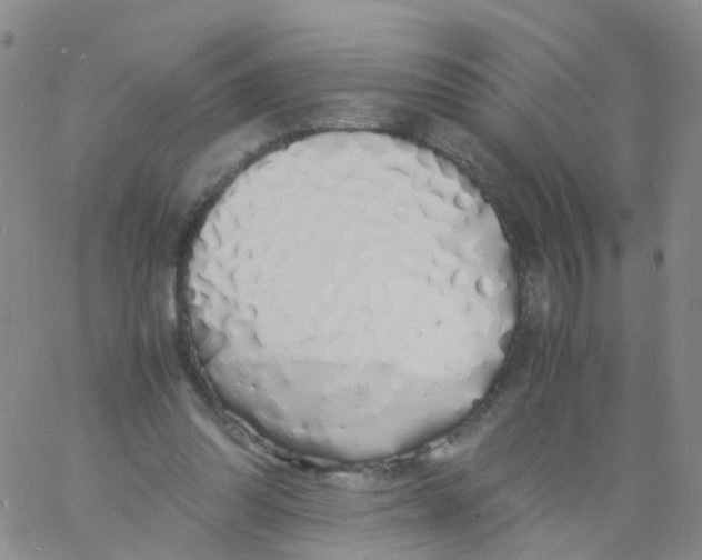 X0000060770302200512082040