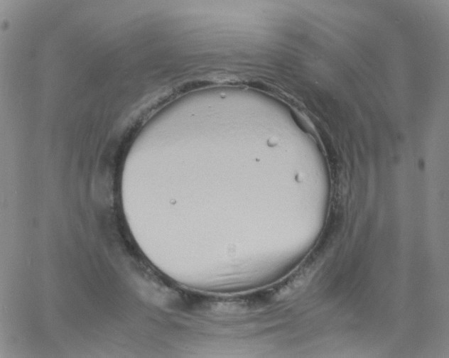 X0000060770303200512082040