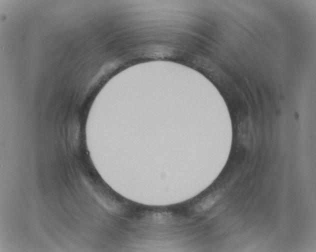 X0000060770304200512082040