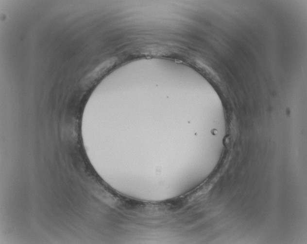 X0000060770305200512082040