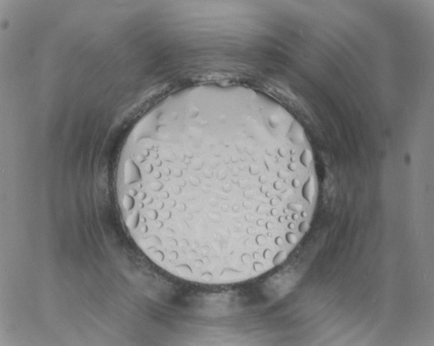 X0000060770306200512082040