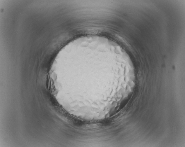 X0000060770307200512082040