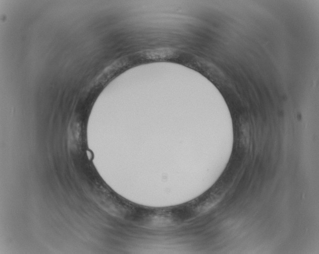 X0000060770308200512082040